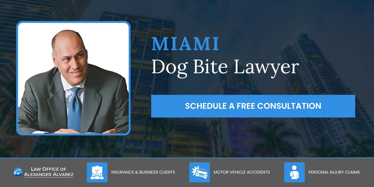 Miami Dog Bite Lawyer